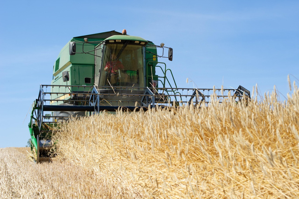 Уборочная кампания, Беларусь, уборка зерна, рапс, зерновые, agrobelarus.by