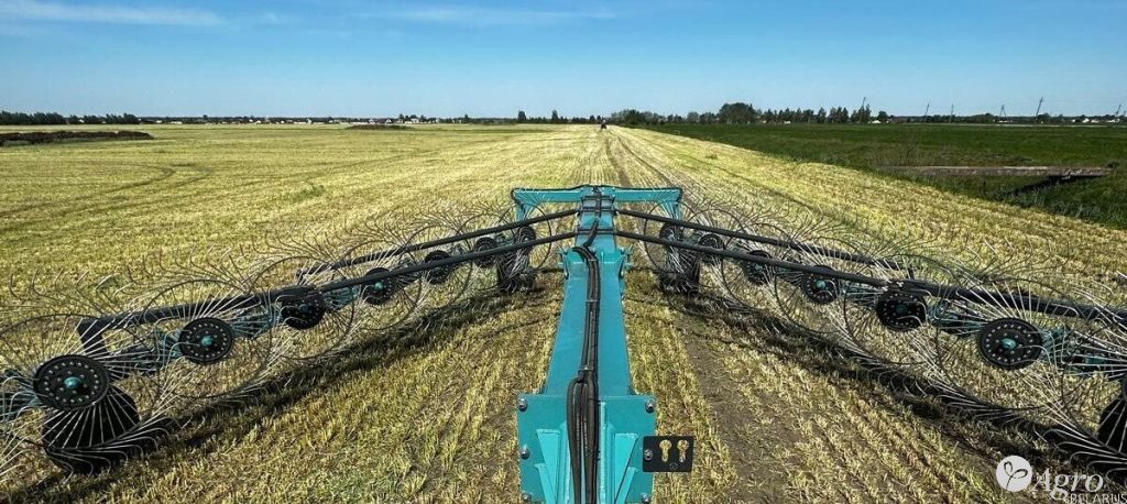 Грабли-ворошилки ГВП-16