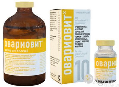 Овариовит