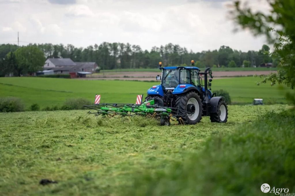 Грабли-ворошилки TORNADO 5,50