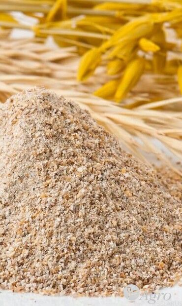 Дрожжи кормовые (на основе пшеничных отрубей)-(порошок,гранула) 46%