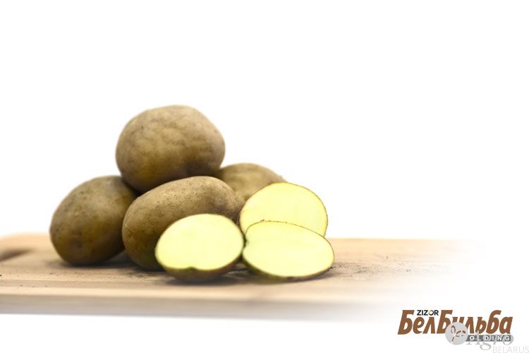 Картофель семенной Зекура 1 репродукции