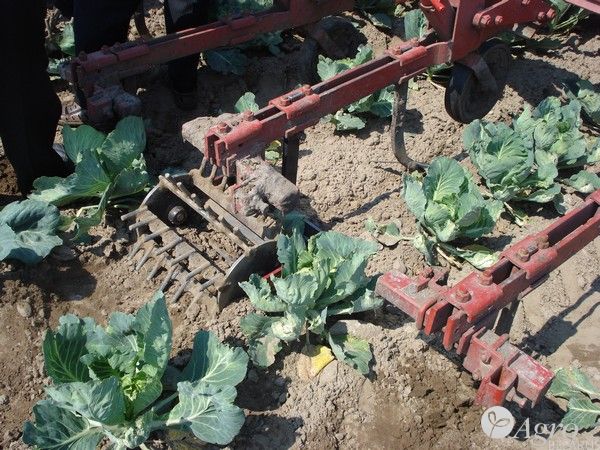 Культиватор-опрыскиватель универсальный КОУ
