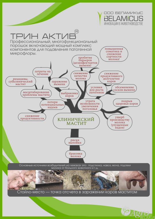 Осушитель, порошок-подсыпка в стойло для коров ТРИНТ АКТИВ