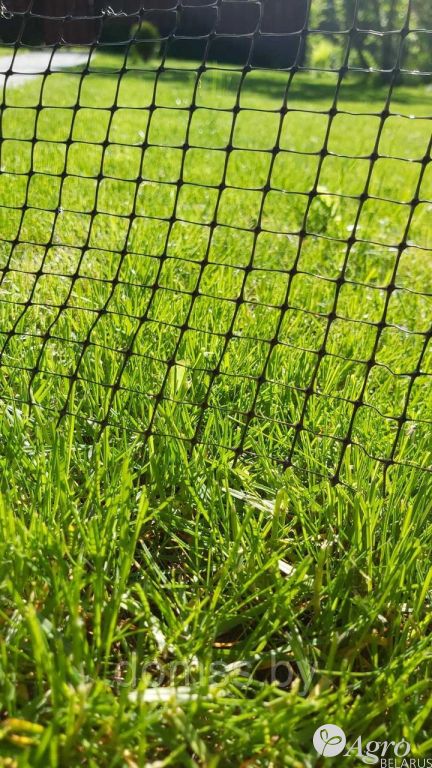 DSV Декоративный (Ornamental) Совместимость красоты с устойчивостью – показатель этой смеси. Германия 10кг