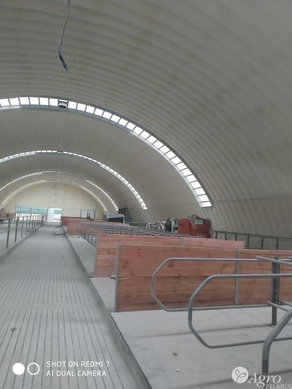 Ангар для содержания КРС, телятник