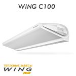 Завеса воздушно-тепловая без источника тепла WING C100 AC / ЕС