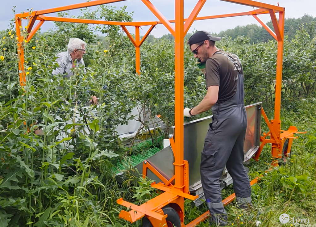 Комбайн для ручной сборки голубики КР-2