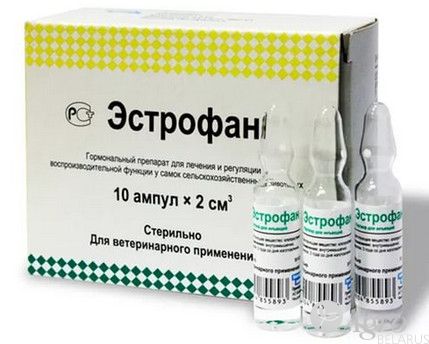 Эстрофан