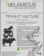 ТРИНТ АКТИВ