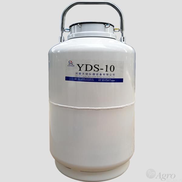   YDS  10 (10 ) 