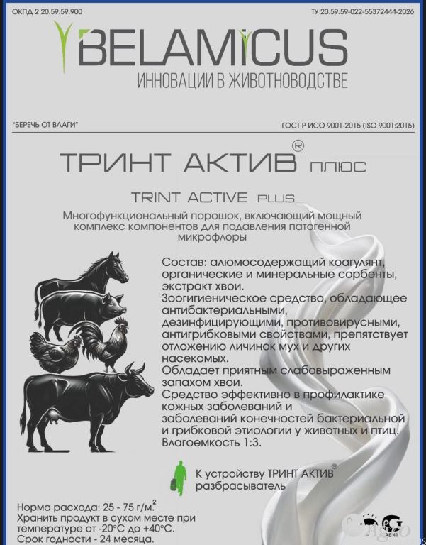 ТРИНТ АКТИВ плюс