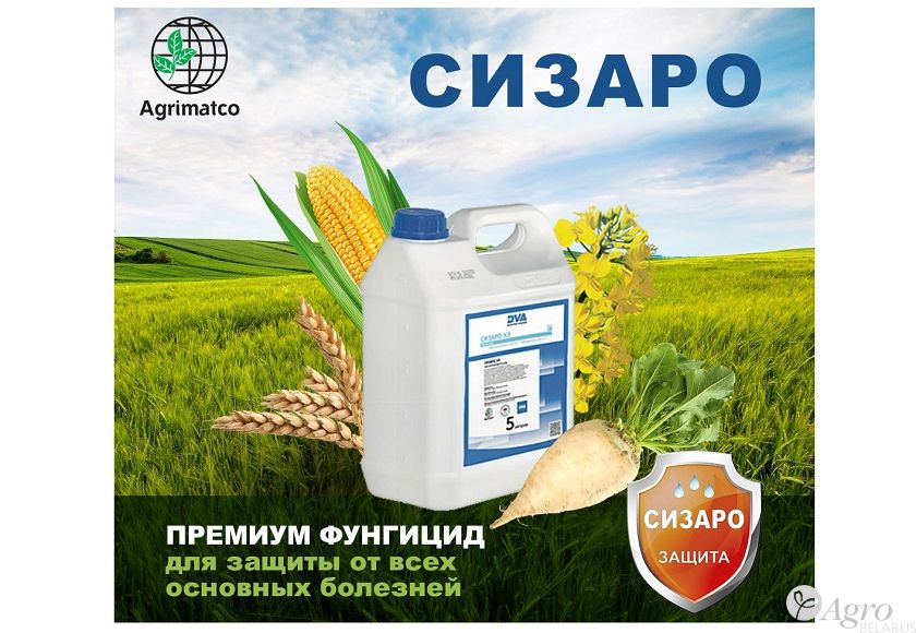 Фунгицид Сизаро
