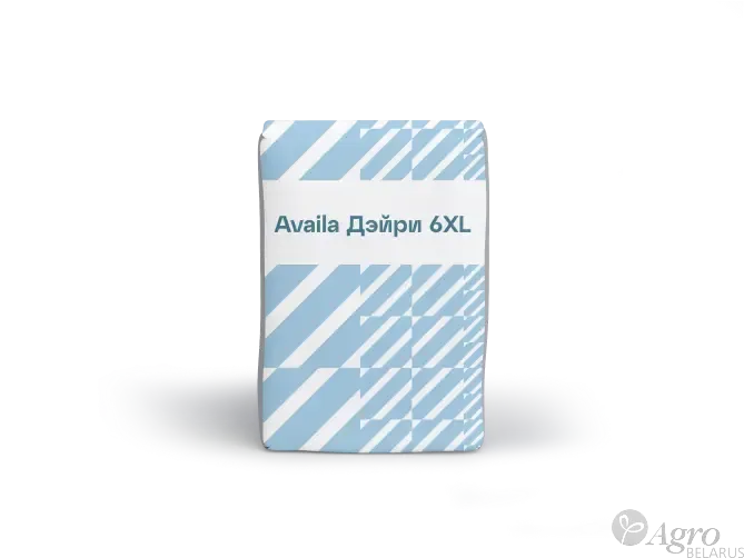 Авайла Дейри 6 XL