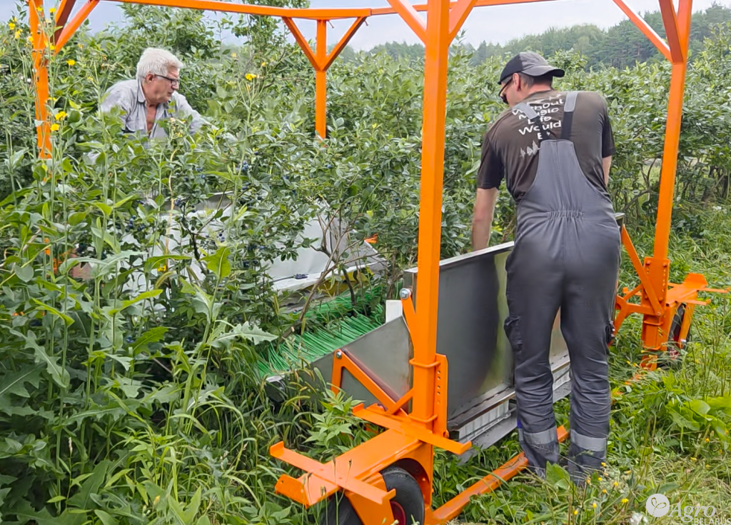 Комбайн для ручной сборки голубики КР-2