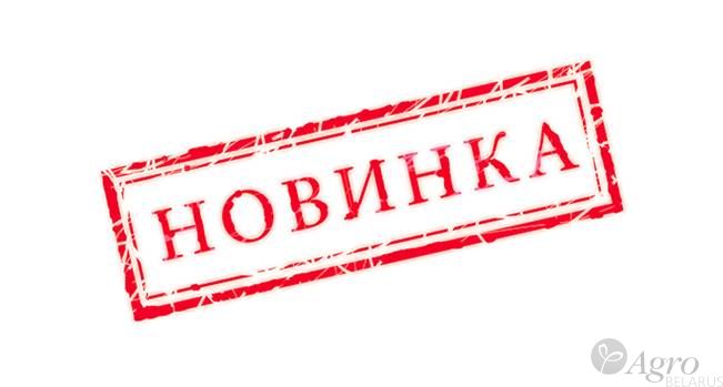 Гибрид озимого рапса ДК ЭКСТРОН