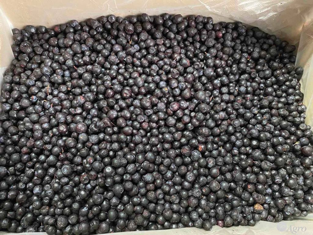 Черника быстрозамороженная