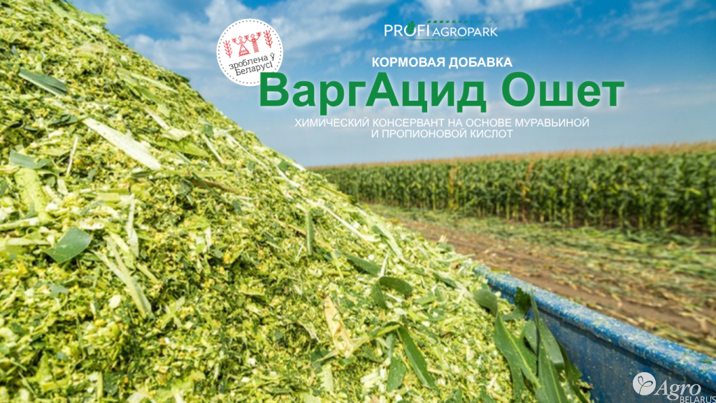 Добавка ормовая ВаргАцид Ошет