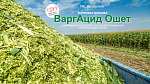 Добавка ормовая ВаргАцид Ошет