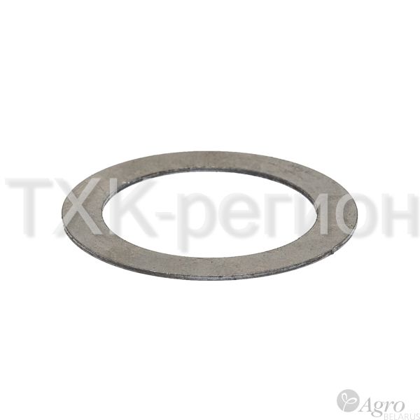 Шайба РСМ 10.02.02.413А