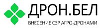 ДронСервис ООО