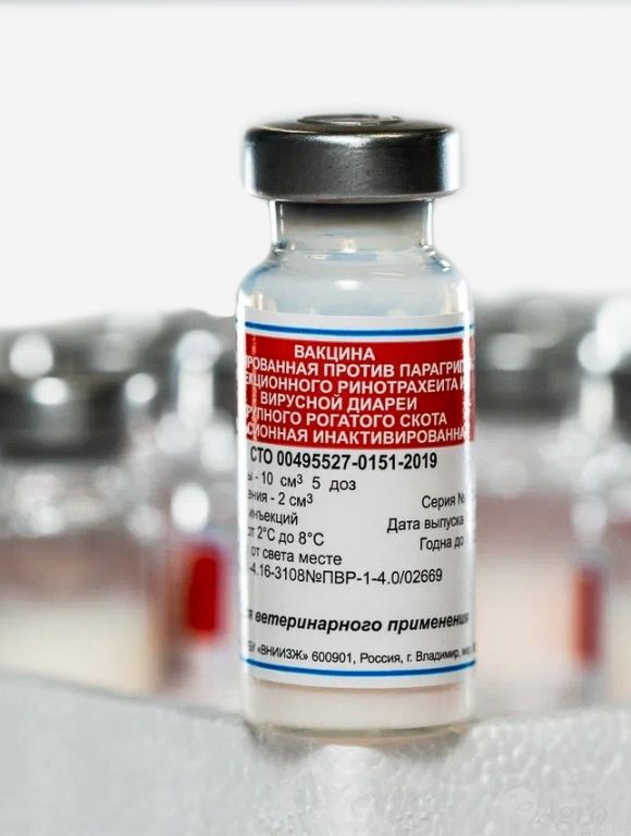 Вакцина ассоциированная против парагриппа-3, инфекционного ринотрахеита и вирусной диареи крупного рогатого скота эмульсионная инактивированная «ВНИИЗЖ-БовиРес-ВД»