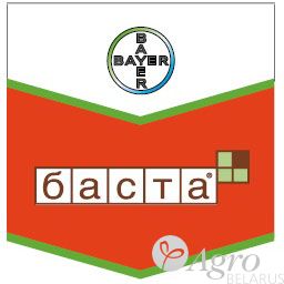Десикант Баста, ВР