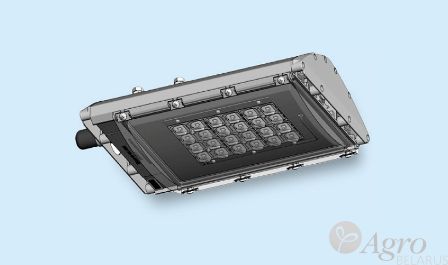 Светильник светодиодный уличный консольный ДКУ 51-100-162 Купала