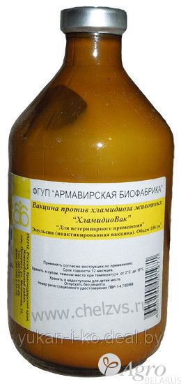 Хламидиовак