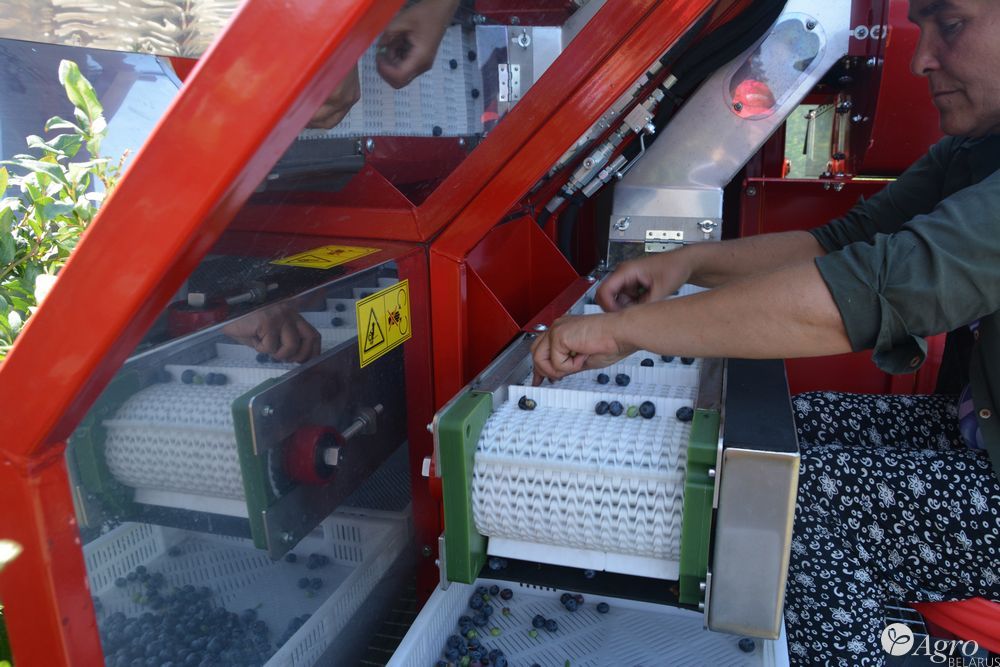 Комбайн полнорядный Karen для уборки малины, голубики