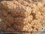 Картофель продовольственный свежий Урожай 2025г