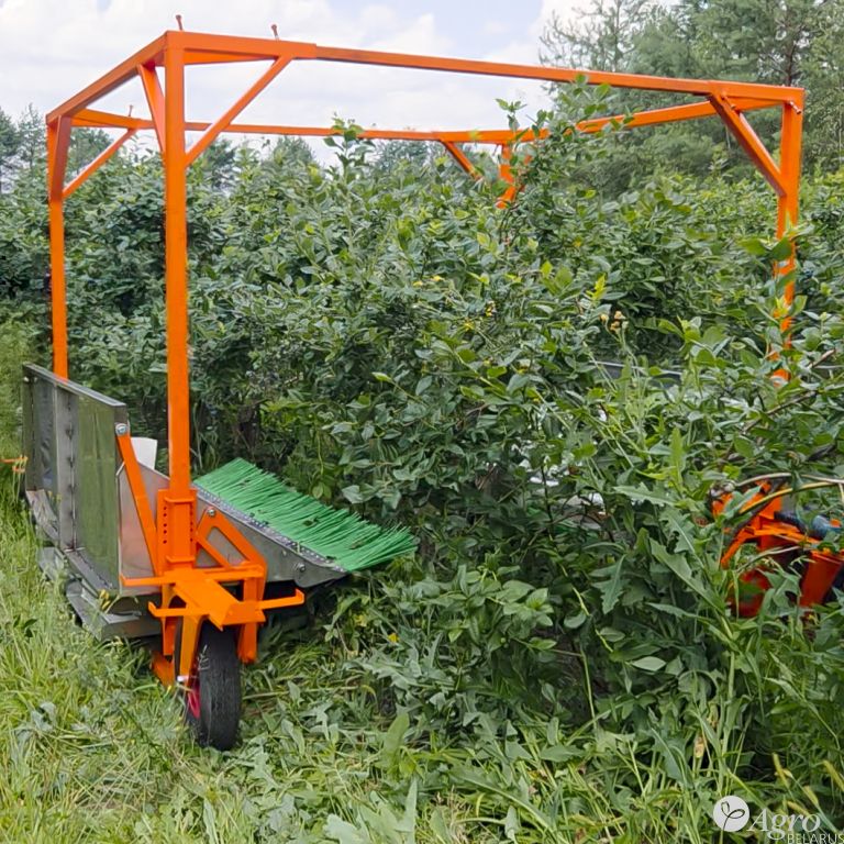 Комбайн для ручной сборки голубики КР-2