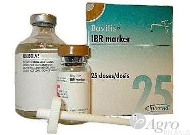 Вакцина Бовилис IBR marker+раствор