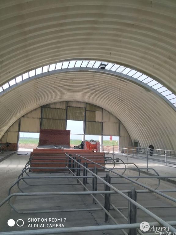 Ангар для содержания КРС, телятник