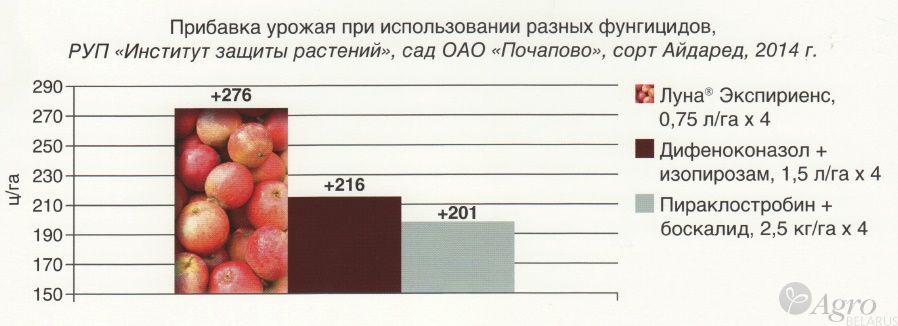 Фунгицид Луна Экспириенс, КС