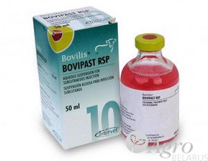 Бовилис Bovipast