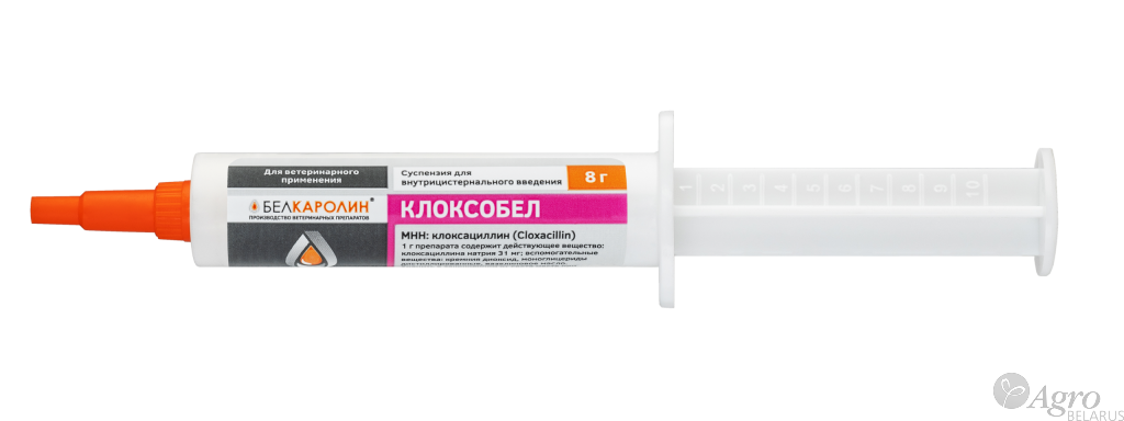 Клоксобел