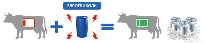 Концентрат жидкий кормовой энергетический минеральный Еврогликоль