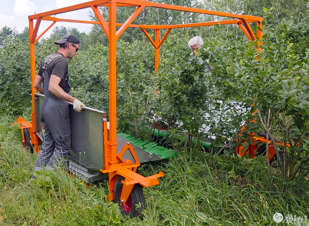 Комбайн для ручной сборки голубики КР-2