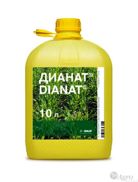 Дианат, ВР
