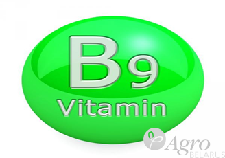 Витамин В9