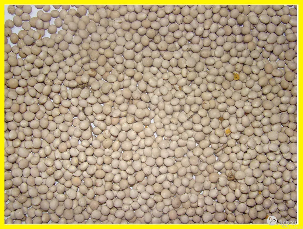 Люпин семена