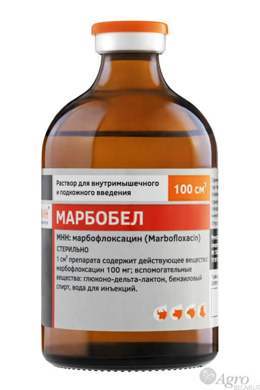 Марбобел