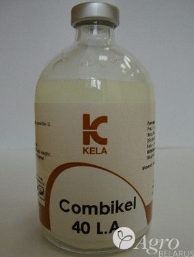 Антибактериальный препарат КОМБИ-КЕЛ 40