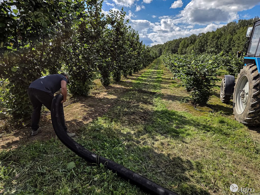 Машина вакуумная TR 211 для сбора орехов