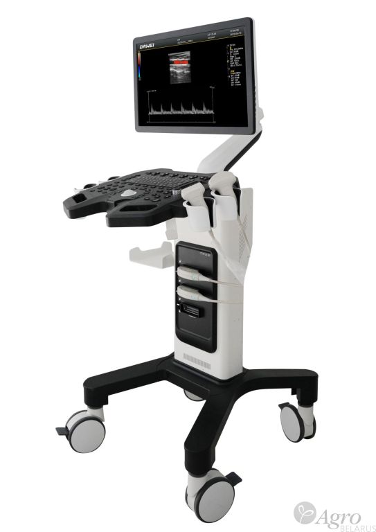         F3-Vet