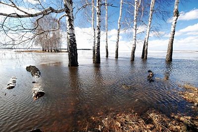 Весеннее половодье на некоторых реках Беларуси будет выше многолетних значений - МЧС