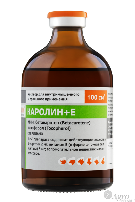 Каролин + Е