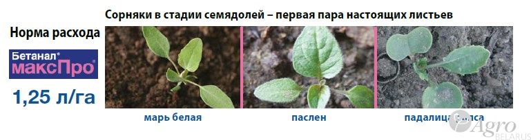 Гербицид Бетанал Макс Про, МД