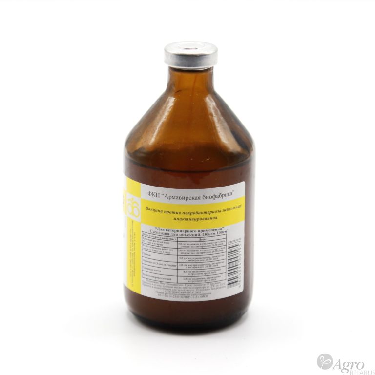 Вакцина против некробактериоза животных инактивированная